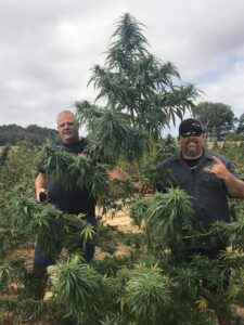 Richard Adamson (left) and Curtis Butler, operator at Southern Kentucky Hemp, pose next to a plant.
